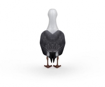 Modern Flying Animals-ID:202820361