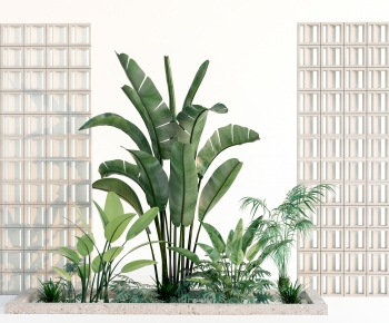 Modern Plant Landscaping-ID:910799037