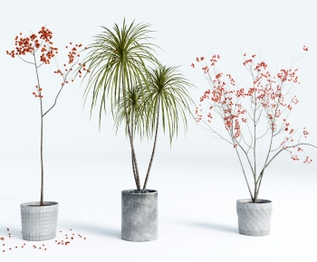 Modern Ground Green Plant Potted Plants-ID:612204071