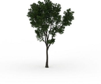 Modern Tree-ID:247733128