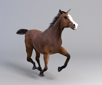 Modern Animal Horse-ID:913488937