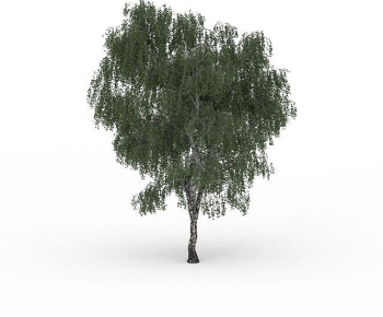 Modern Tree-ID:553167104