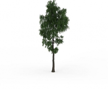 Modern Tree-ID:749175076