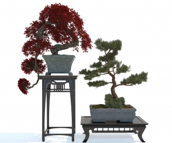 New Chinese Style Bonsai-ID:113761909