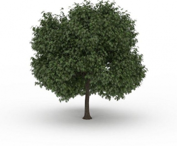 Modern Tree-ID:942270997