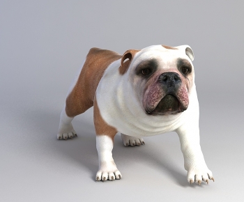 Modern Animal Dog-ID:841063981