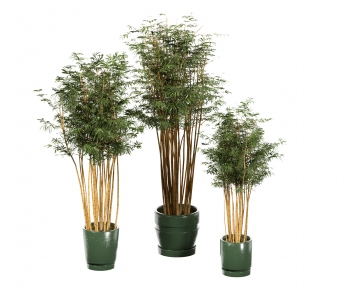 Modern Ground Green Plant Potted Plants-ID:547149905