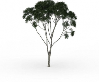 Modern Tree-ID:842498062