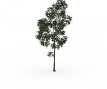 Modern Tree-ID:235733036