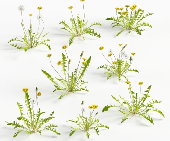 Modern Flowers And Grass-ID:674487116