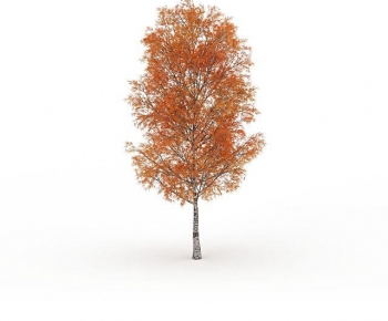 Modern Tree-ID:456850058