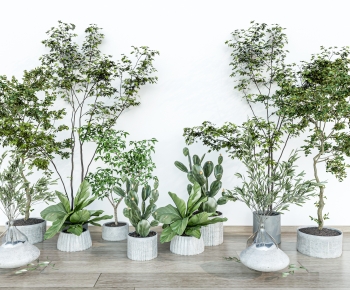 现代落地绿植盆栽组合-ID:251996994