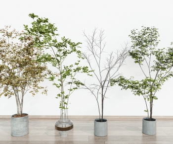 Modern Ground Green Plant Potted Plants-ID:513474944