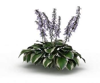 Modern Plant-ID:115189692