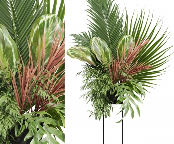 Modern Bonsai-ID:253424889