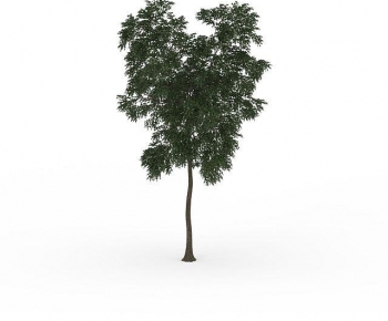 Modern Tree-ID:418890959