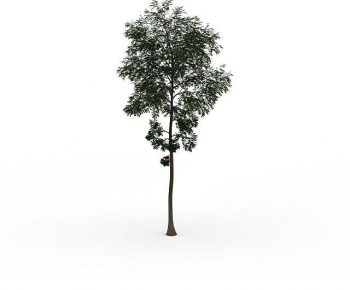 Modern Tree-ID:672914984