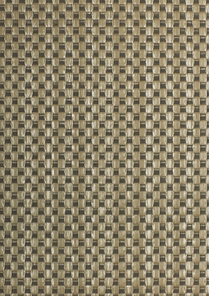 ModernOffice Carpet