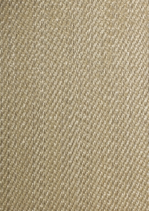 ModernOffice Carpet