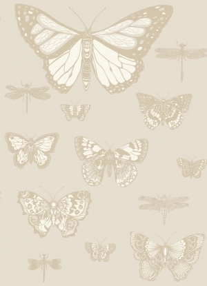 ModernChildren's Wallpaper