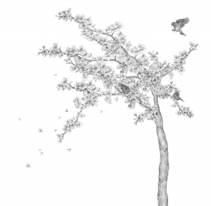 ModernModern Wallpaper