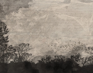 ModernModern Wallpaper