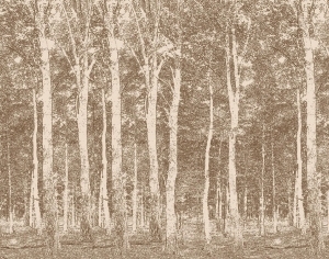 ModernAnimal And Plant Pattern Wallpaper