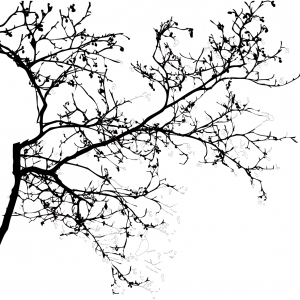 ModernAnimal And Plant Pattern Wallpaper