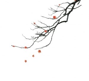 ModernAnimal And Plant Pattern Wallpaper