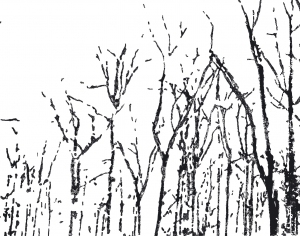 ModernAnimal And Plant Pattern Wallpaper