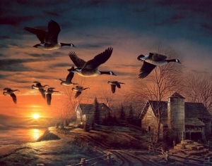 ModernOther Wallpapers