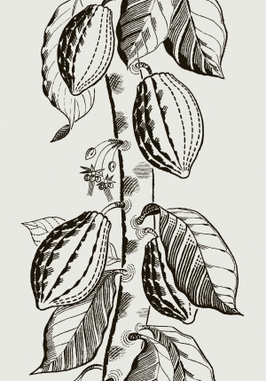 动植物图案壁纸-ID:190160043