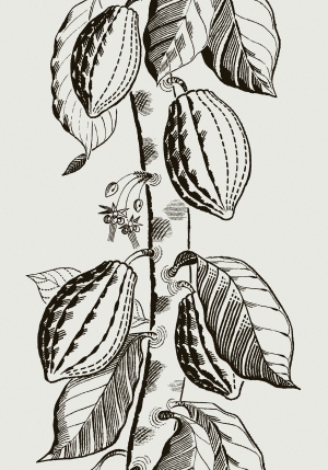 ModernAnimal And Plant Pattern Wallpaper