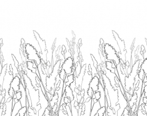 ModernAnimal And Plant Pattern Wallpaper