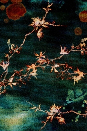 New Chinese StyleChinese Carpet