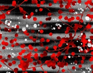 New Chinese StyleChinese Carpet