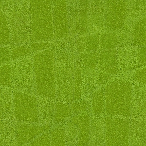 ModernOffice Carpet