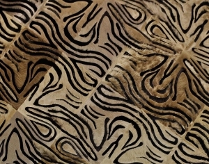 ModernAnimal Carpet
