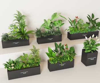 Modern Flower Bed, Flower Bowl, Flower Box-ID:500061998