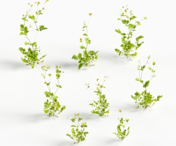 Modern Flowers And Grass-ID:887573965