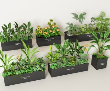 Modern Flower Bed, Flower Bowl, Flower Box-ID:438081038
