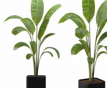 Modern Ground Green Plant Potted Plants-ID:821419958