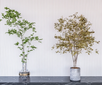 Modern Ground Green Plant Potted Plants-ID:737312086