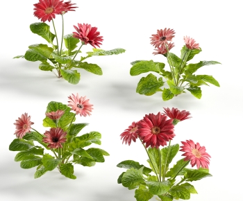 Modern Flowers And Grass-ID:529999971