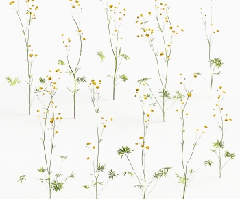 Modern Flowers And Grass-ID:550020939