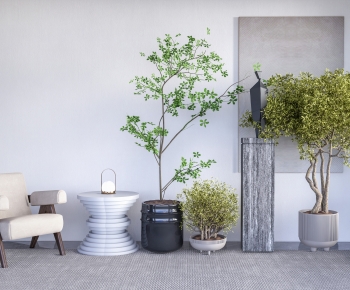 Modern Ground Green Plant Potted Plants-ID:993520027