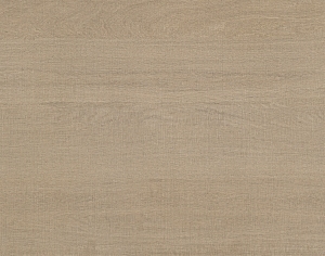 ModernWood Texture