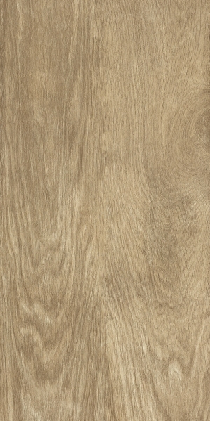 ModernWood Texture