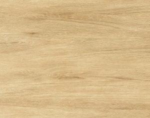 ModernWood Texture