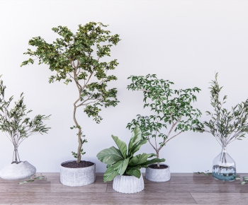 Modern Ground Green Plant Potted Plants-ID:388561015